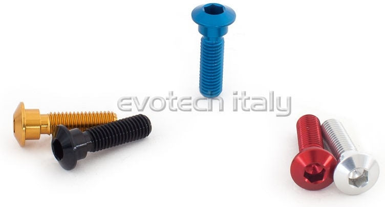 Special Ergal Screw Vs079