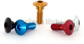 Special Ergal Screw Vs082