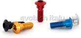 Special Ergal Screw Vs093