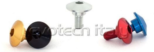 Special Ergal Screw Vs-106