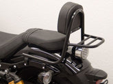 Fehling Sissy Bar, made from tube, with pad and carrier, black | 6136 RG