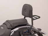 Sissy Bar made from tube with pad and carrier, black