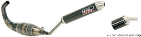 GIANNELI CAGIVA MITO 125 94/04 EEC E13 CARBON SIL ENCER | 53608HF