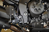 Footrest system VCR38GT