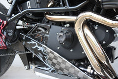 GSG MOTOTECHNIK Crash Pad set, Retaining plate on the left natural aluminium for Buell X1 (2000-2002) | 754909555-BU3