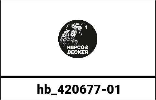 Hepco & Becker Kardan Protection for BMW R 1200 RS from 2015 | 420677-01