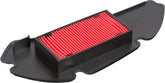 Hiflofiltro Air filter HFA1112 | HFA1112