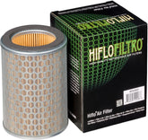 Hiflofiltro Air filter HFA1602 | HFA1602