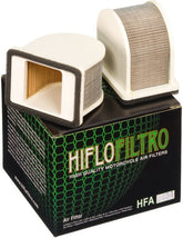 Hiflofiltro Air filter HFA2404 | HFA2404