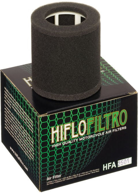 Hiflofiltro Air filter HFA2501 | HFA2501
