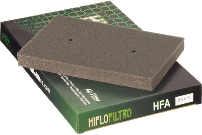 Hiflofiltro Air filter HFA2505 | HFA2505