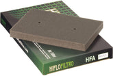 Hiflofiltro Air filter HFA2505 | HFA2505