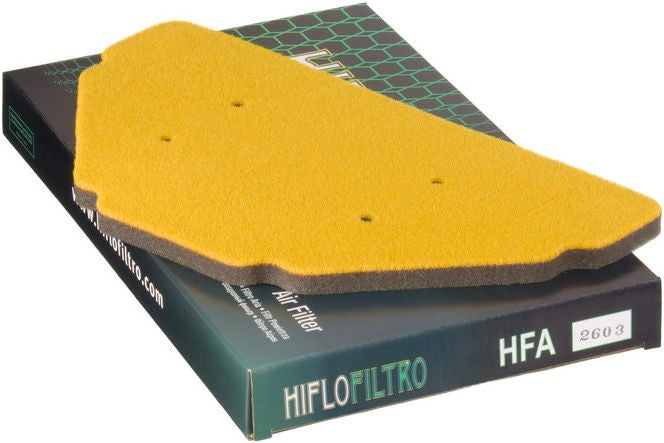 Hiflofiltro Air filter HFA2603 | HFA2603
