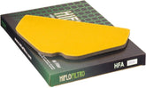 Hiflofiltro Air filter HFA2909 | HFA2909