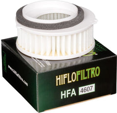 Hiflofiltro Air filter HFA4607 | HFA4607