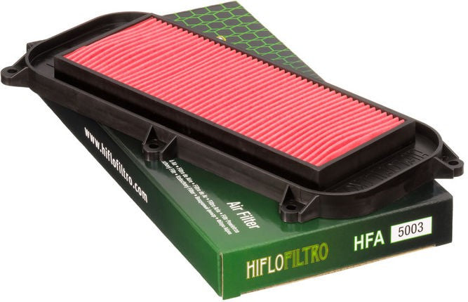 Hiflofiltro Air filter HFA5003 | HFA5003