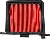 AIR FILTER TRIUMPH