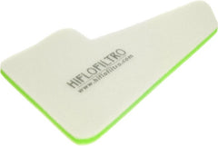 Hiflofiltro Air filter HFF1019 | HFF1019