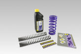 HYPERPRO LOW SPR KIT -25MM N650 17 | SP-KA06-SSC045B