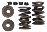 Kedo Racing Valve Springs (Steel-tops) | 30976