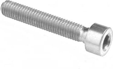 Lightech SOCKET HEAD TIT. G.5 CL 001 M4 L. 30 | T001M4030