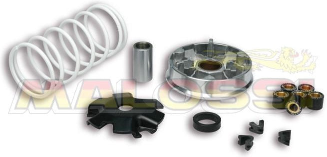 MALOSSI Multivar Variator Kymco 2 stroke | 51 9988T