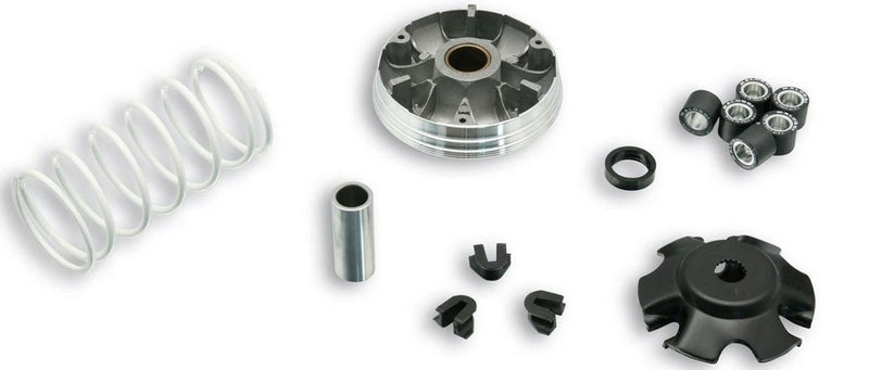 MALOSSI Multivar 2000 Variator | 5111597