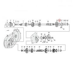 mcs_504840