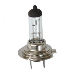 MCS H7 Light Bulb, 12V 55 Watt