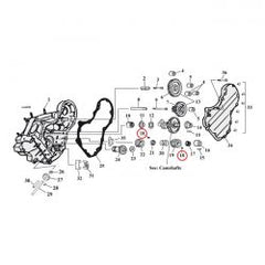 mcs_517955