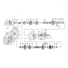 mcs_590204