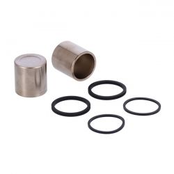 MCS Caliper Piston & Seal Kit. Front