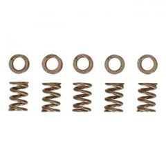 MCS Spring, Idle Crew Keihin CV Carburetor