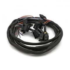 mcs_920120