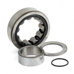 MCS Camshaft Roller Bearing. Outer, Rear