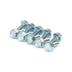MCS Flanged Screw