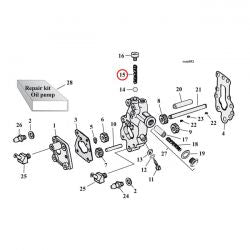 MCS Spring, Oil Pump Check Valve