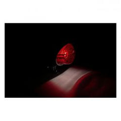 MCS Colorado Taillight. Chrome