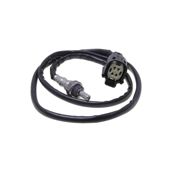 oxygen sensor M8. Front header