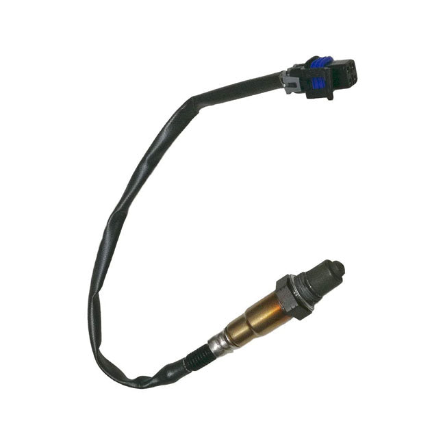 O2 sensor Indian