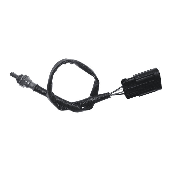 O2 sensor Indian