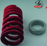 Mizu Lowering kit, including ABE (part certificate), 30mm | 30219002