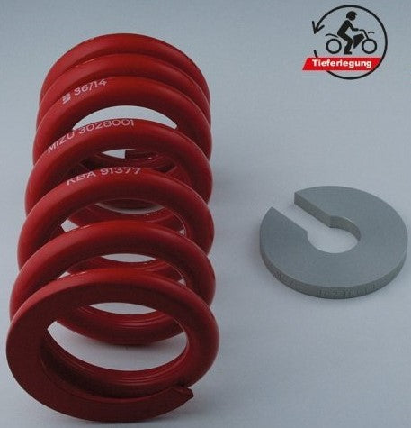 Mizu Lowering kit, including ABE (part certificate), 40mm | 3028006
