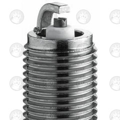 NGK Spark Plug Special LFR6A | 6668