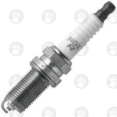 ngk_6668