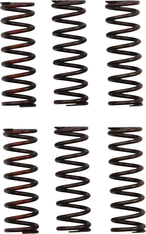 ProCircuit Clutch Spring Set | CSH21450-CS