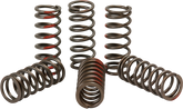 ProCircuit Clutch Spring Set | CST12350