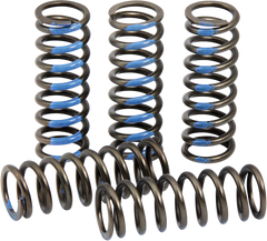 ProCircuit Clutch Spring Set | CSY14250-CS