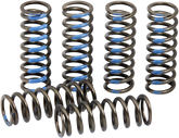 ProCircuit Clutch Spring Set | CSY19250-CS