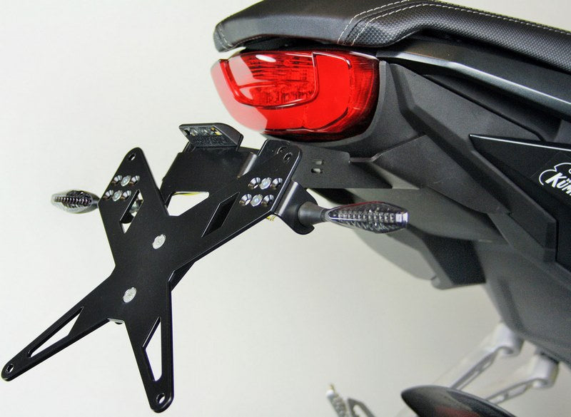 PROTECH license plate holder kit including reflector and plate light , Black | 7210084